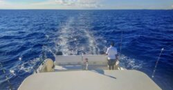 Fully Operational Water Sports, Boat Tour and Charter Business